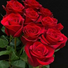 Жадыра Жусипназарова, Тараз