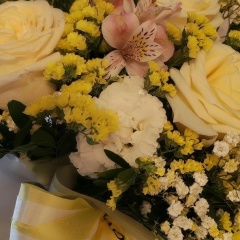 Юлия Шамсова, Ангарск