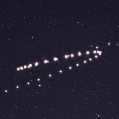 Дана Макатова