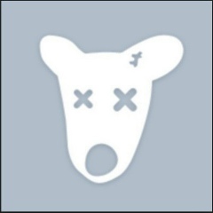 Дамир Резбаев, 19.12