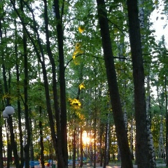 Елена Хаертдинова, 28.07