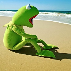 Alexey Kizub, 13.12.1988, Москва