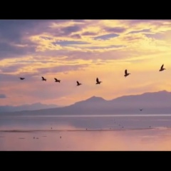 Айлин Охан, 18.01.1988, Ташкент