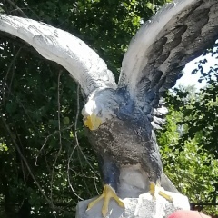 Тенгис Ябыштаев, 15.05, Горно-Алтайск