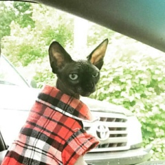 Олег Смыслов, 03.05.1991, Москва