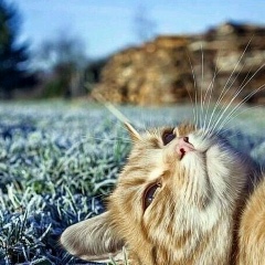 Дмитрий Соколов, 12.08