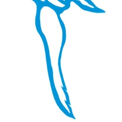 Jedi Анатольевич, 28.08.1987, Аксай