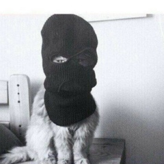 Магомед Дакаев, Los Angeles