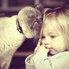 Ховра Хамизаева, 03.08, Грозный