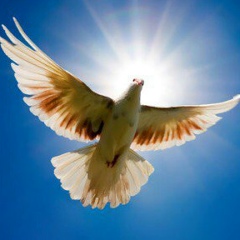 Aynura Jumabekovna, 17.01