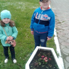 Вася Гавриляк, Волошиново