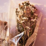 Altynay Mekentas, 13.12, Астана