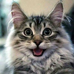 Тамара Девяткина, Санкт-Петербург