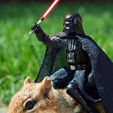 Рома Ромашкин, 28.10, Киев