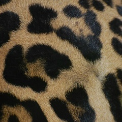 Rich Story, 11.11.1911, Актау