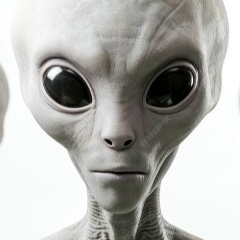 Дон Дигидон, 28.07, Энгельс