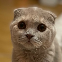 Мира Байзакова, 15.06.1989, Алматы