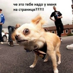 Зиновий Зыков, 05.08.1985, Одесса