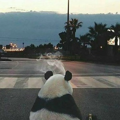 Витя Шум, 22.09.1989, Одесса