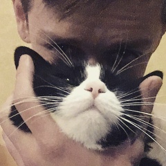 Дима Акула, 08.01, Киев