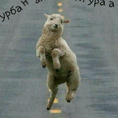 Демма Демма, 13.12.1976, Актау