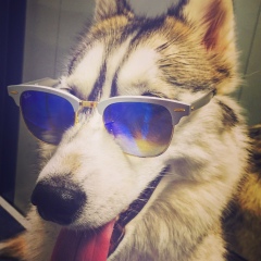 Fayzullo Mamadzhanov, 16.12.1987, Москва