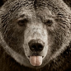 Izzy Em, Москва