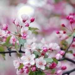 Диас Қыдыралин, 20.10.1905, Атырау