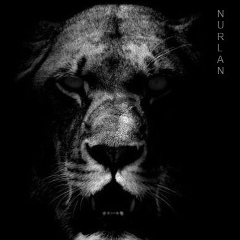 Нурлан Азимзаде, 06.03, Zürich