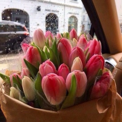 Ася Орлова, 21.11, Москва