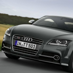 Александр Мехоношин, 25.12