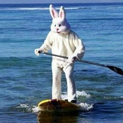 Siegfried Ungewohnlich, 13.08.1991