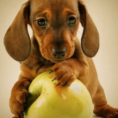 Павел Павлов, 24.04.1979