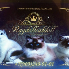 Ragdoll Catdoll, 05.08, Москва