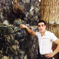 Князь Алиян