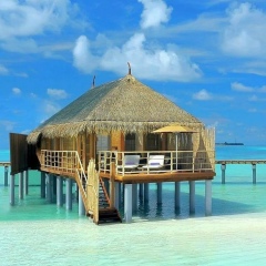 Дана Али, 21.03.1989, Алматы