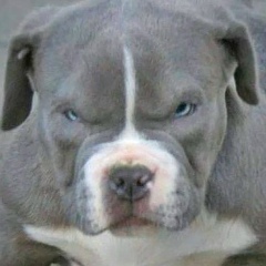 Вадим Кортиков, 18.08.1973, Ухта