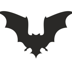 Константин Шулятьев, 10.01, Санкт-Петербург