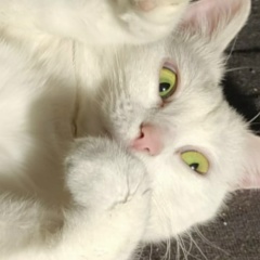 Александра Валериевна, 25.01, Таллин