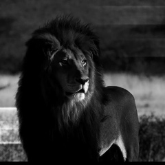 Garik Nersisyan, 31.01, Одинцово