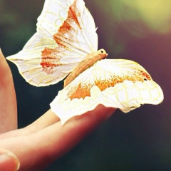 Света Сержанова, 07.11.1987, Шымкент