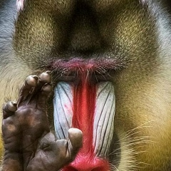 Алексей Комраков, 13.03.1983, Тула