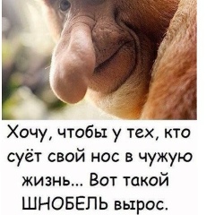 Денис Юрликов, Kotka