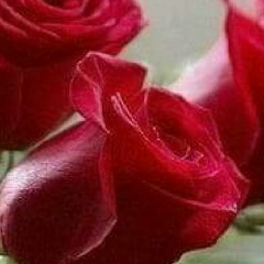 Арай Адаева, 11.02.1978, Астана