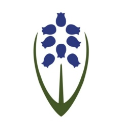 Борис Саркисян, 18.05.1987, Москва