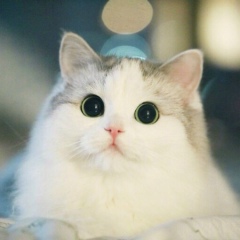 Актолкын Прназарова, 04.02.1988, Алматы