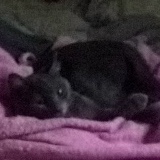 Павел Баишев, 18.12.1984, Санкт-Петербург