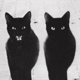 Мария Скрипица, 25.11.1987, Минск