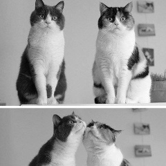 Ольга Гамза, 13.06.1987, Москва