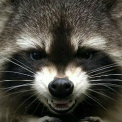 Ирина Сухнёва, 07.03.1985, Санкт-Петербург